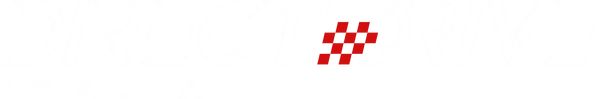 Direct Drive Italia logo bianco