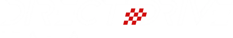 Direct Drive Italia logo bianco