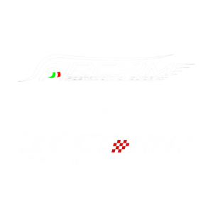 Logo ARC SIM x DD