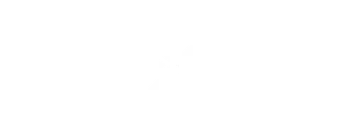 PXN logo white