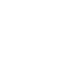 Spedizione express