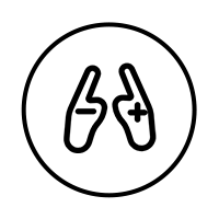 modulo hall paddle