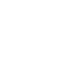 icona stili di guida