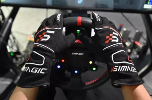 Sim Racing Gloves front