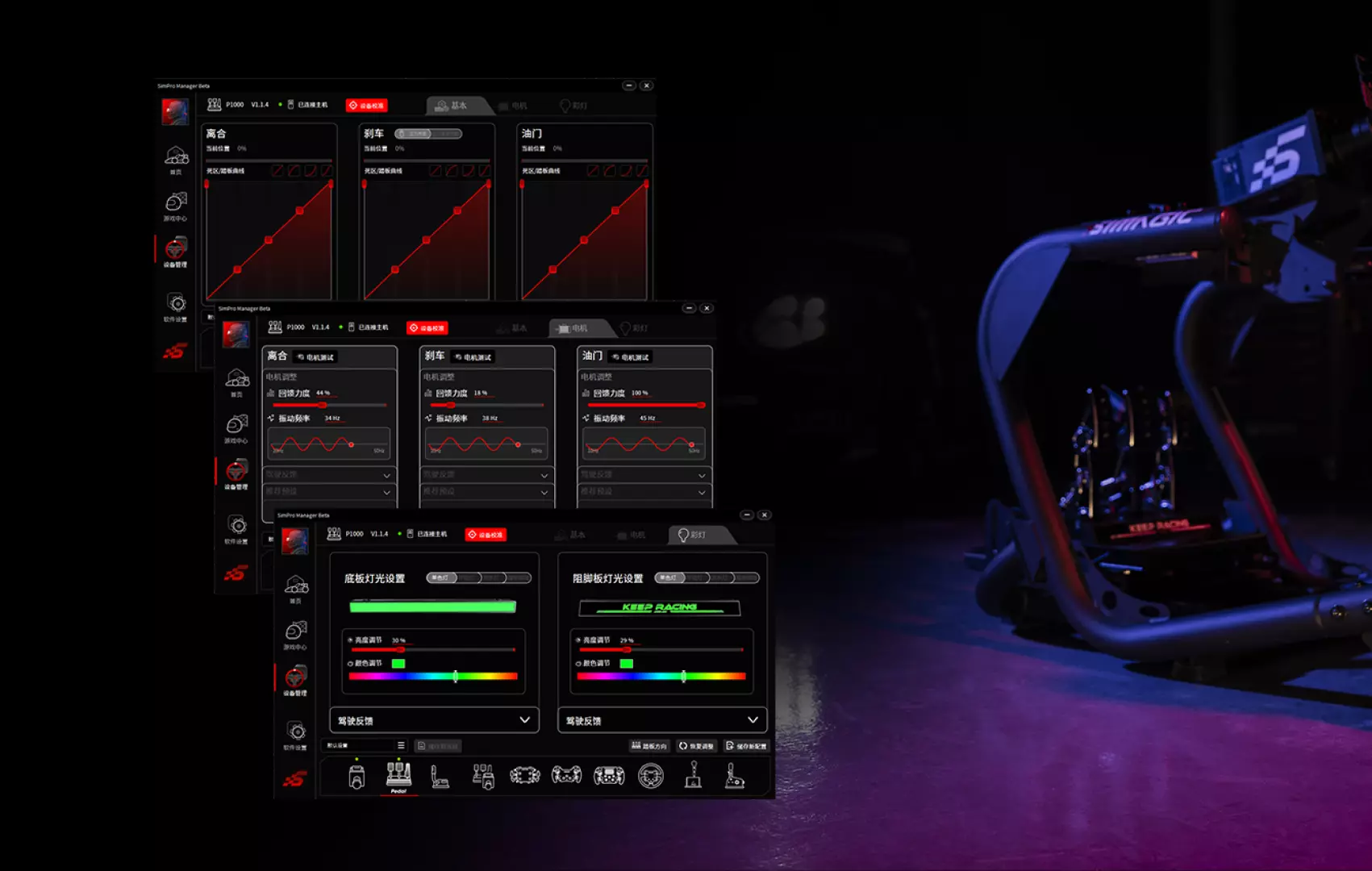 Software Simagic P1000