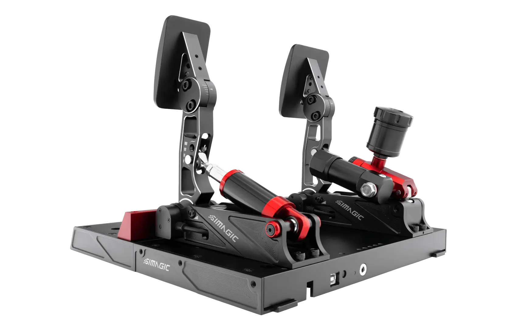 P1000 2 pedali posteriore